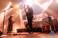 20250224-Ratones-ParanoicosDSI_3088©DesiEstevez