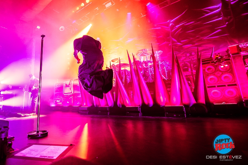 20250304-Skunk-AnansieDSI_4434©DesiEstevez