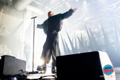 20250304-Skunk-AnansieDSI_4142©DesiEstevez
