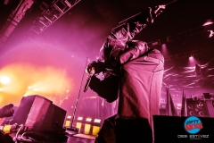 20250304-Skunk-AnansieDSI_4268©DesiEstevez