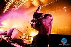 20250304-Skunk-AnansieDSI_4272©DesiEstevez