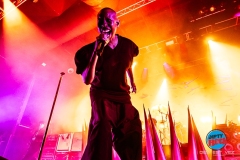 20250304-Skunk-AnansieDSI_4394©DesiEstevez