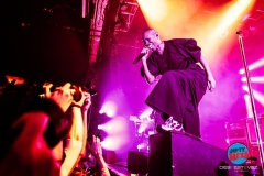 20250304-Skunk-AnansieDSI_4420©DesiEstevez