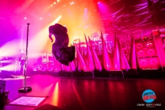 20250304-Skunk-AnansieDSI_4434©DesiEstevez