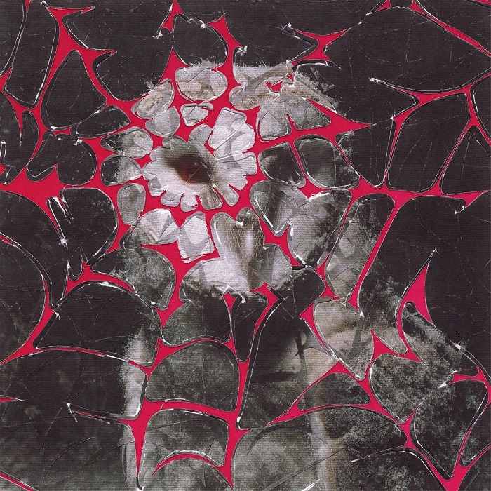 benevola-lluvia-fina