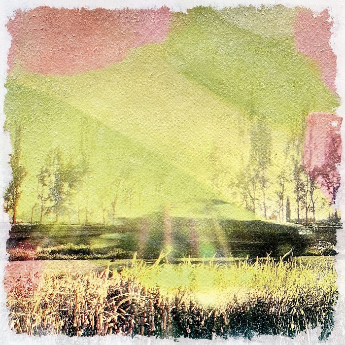 rufustfirefly-todaslascosasbuenas