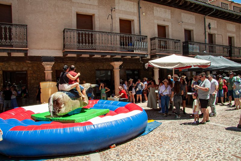 Toro-mecanico-Huercasa-Riaza