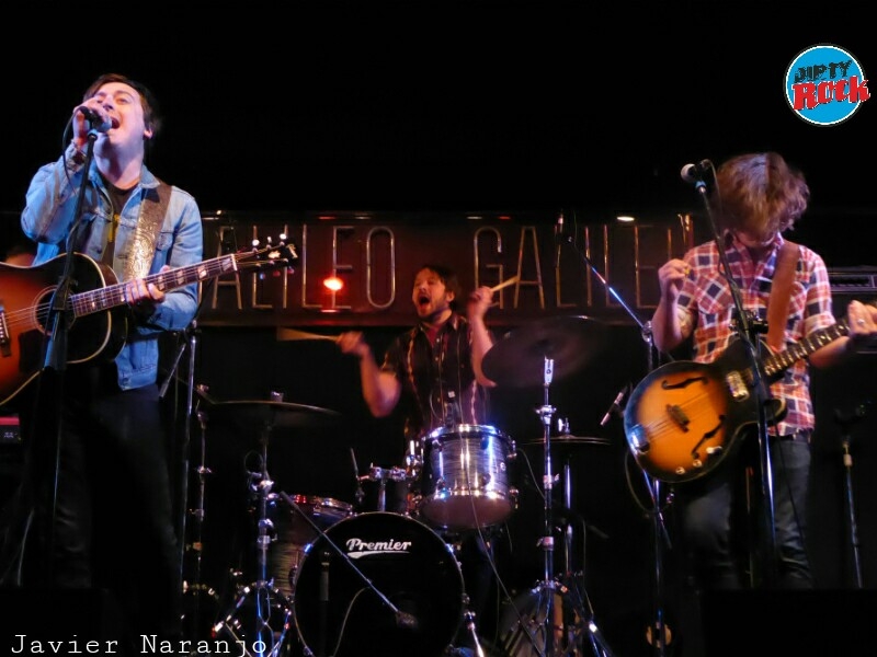 14052016 wild feather 1