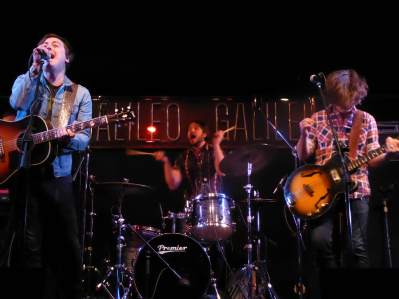 WildFeathers2 WildFeathers2