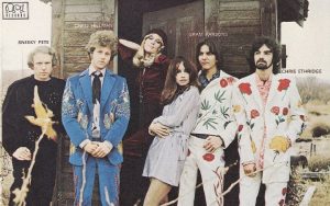 Chris Ethridge de Flying Burrito Brothers y International Submarine Band Chris Ethridge de Flying Burrito Brothers y International Submarine Band