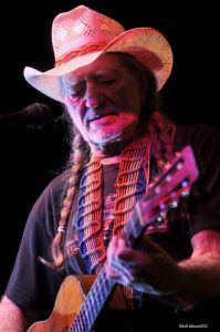 Willie Nelson Roll Me Up and Smoke Me su nuevo libro 2012