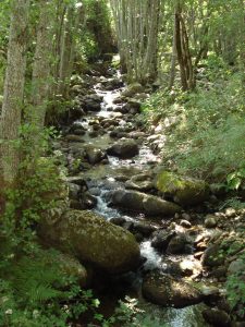 SIERRA DE BEJAR