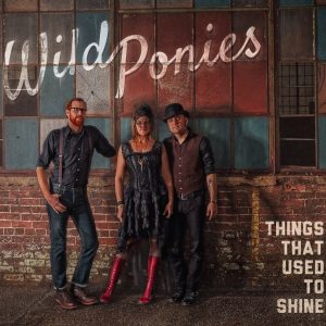 Wild Ponies “Things That Used to Shine”, nuevo disco 