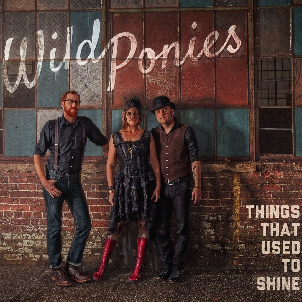 Wild Ponies “Things That Used to Shine”, nuevo disco