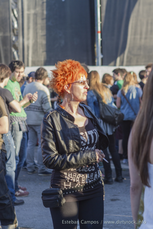 ARF - 2013