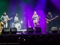 The Sheepdogs