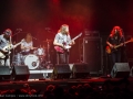 The Sheepdogs