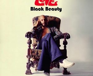 Love "Black Beauty"