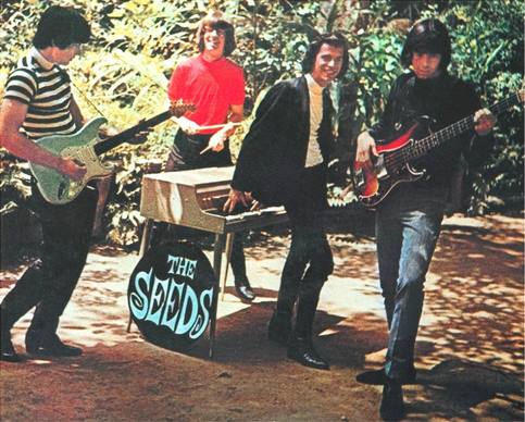 “Pushin’ Too Hard”, tráiler del nuevo documental sobre The Seeds