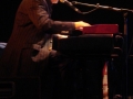 STEVE CROOPER THE ANIMALS7