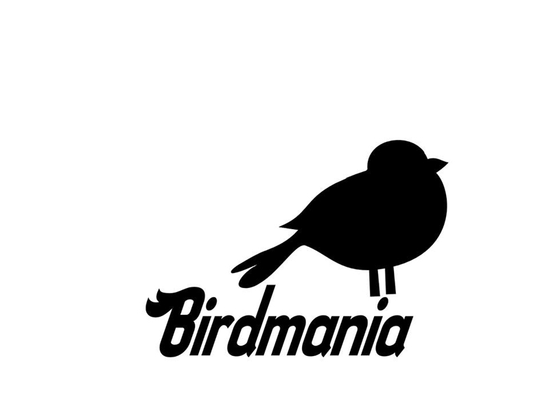 Entrevista a Birdmania formación de rock tinerfeña