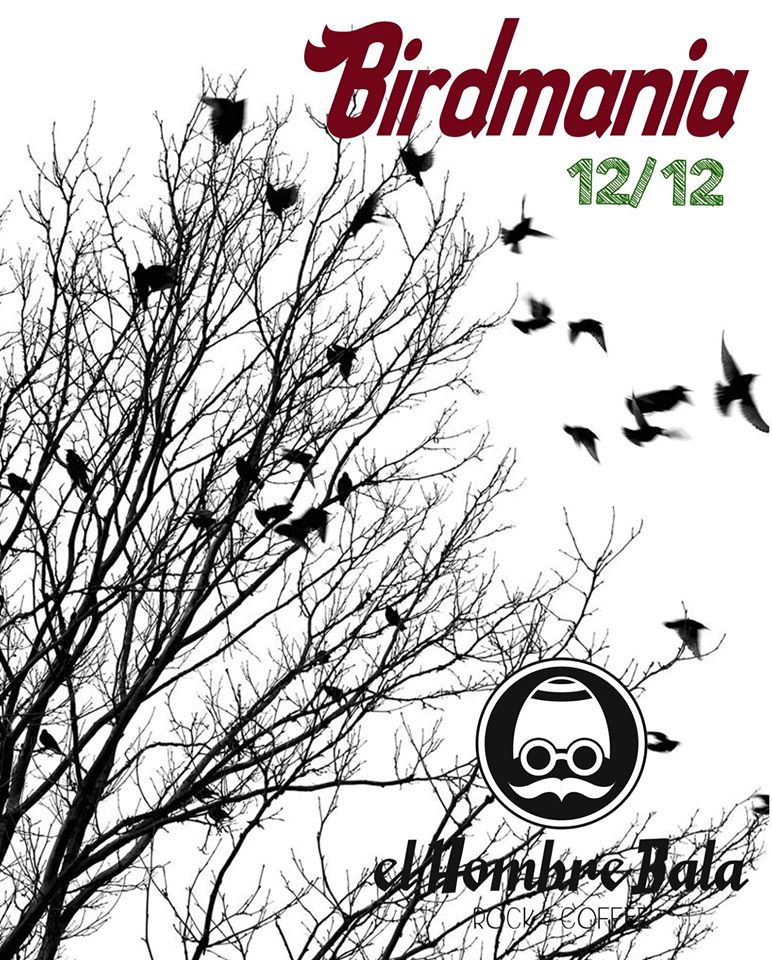 Entrevista a Birdmania