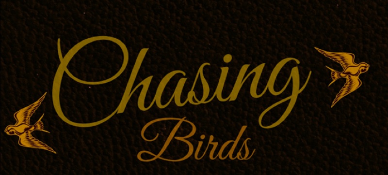 Chasing Birds01.jpg Chasing Birds01.jpg