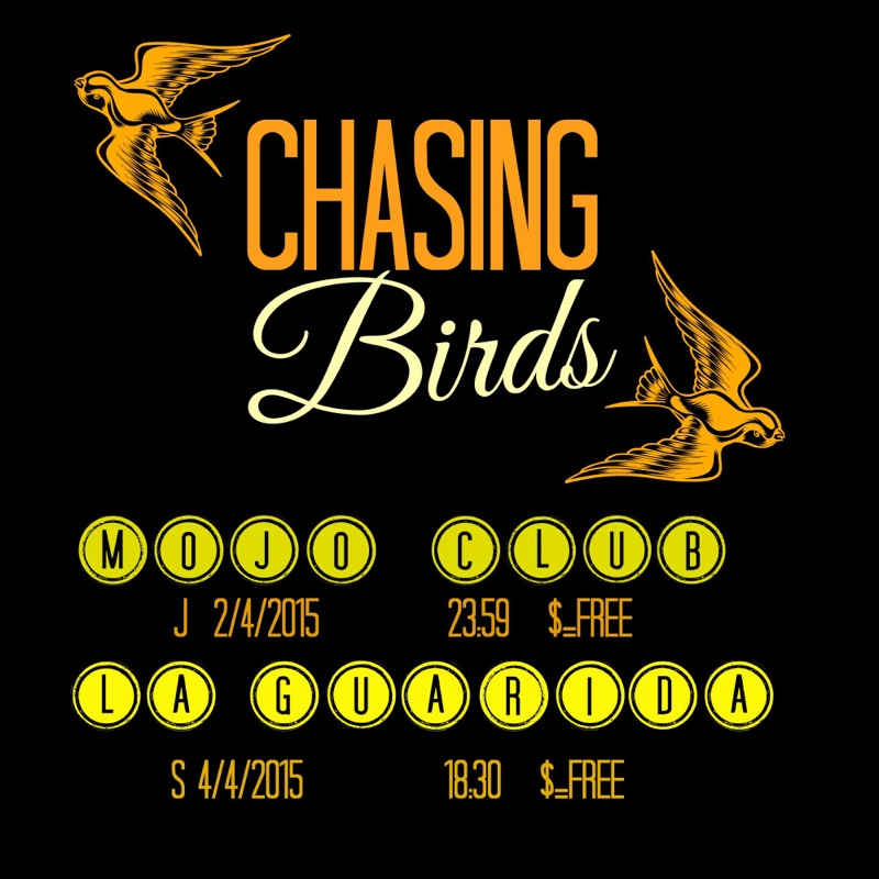Chasing Birds04.jpg Chasing Birds04.jpg