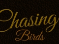 Chasing Birds01.jpg