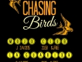 Chasing Birds04.jpg