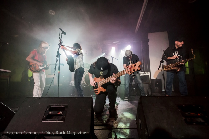 La Volpe Band @ Wild B Music Festival