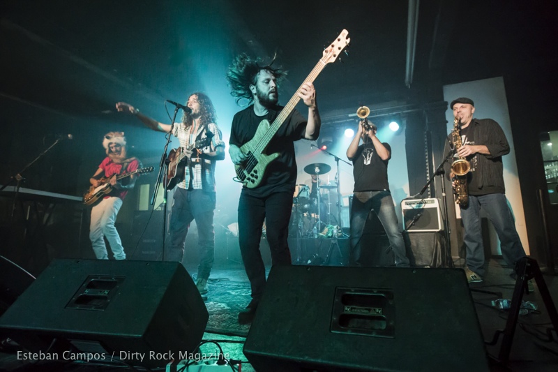 La Volpe Band @ Wild B Music Festival