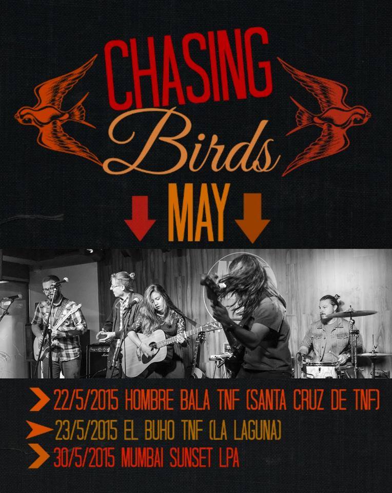 Chasing Birds en Tenerife y Gran Canaria 2015.jpg