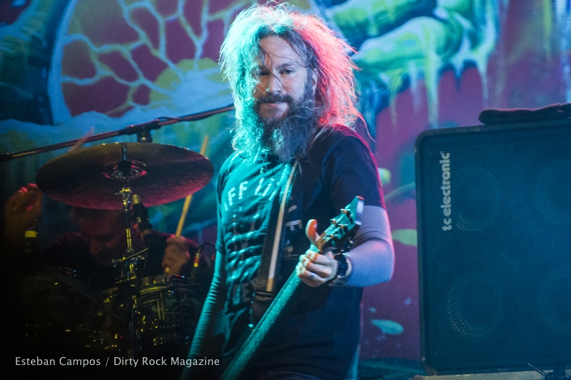 mastodon-IMG_1541