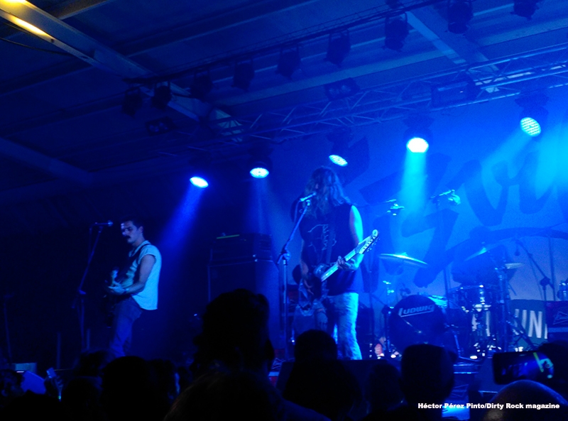 Fuzzville Festival 2015.3