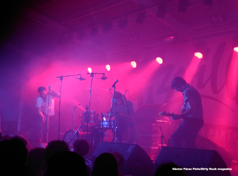 Fuzzville Festival 2015.4