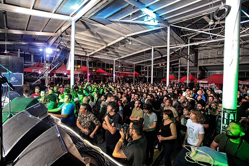 Fuzzville Festival 2015.5