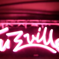Fuzzville Festival 2015.1