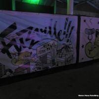 Fuzzville Festival 2015.2
