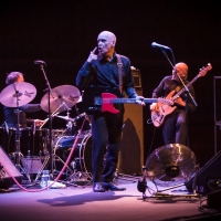 Wilko Johnson concierto Barcelona