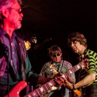 Flamin Groovies crónica Valencia 2016.10