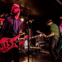 Flamin Groovies crónica Valencia 2016.11