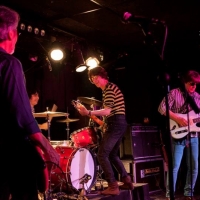 Flamin Groovies crónica Valencia 2016.2