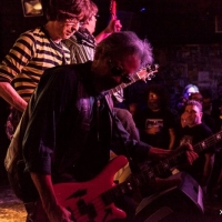 Flamin Groovies crónica Valencia 2016.4