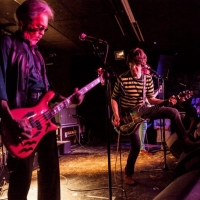Flamin Groovies crónica Valencia 2016.5