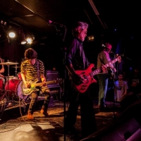 Flamin Groovies crónica Valencia 2016.7