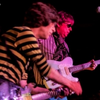 Flamin Groovies crónica Valencia 2016.8