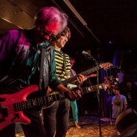 Flamin Groovies crónica Valencia 2016.9