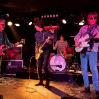 Flamin Groovies crónica Valencia 2016