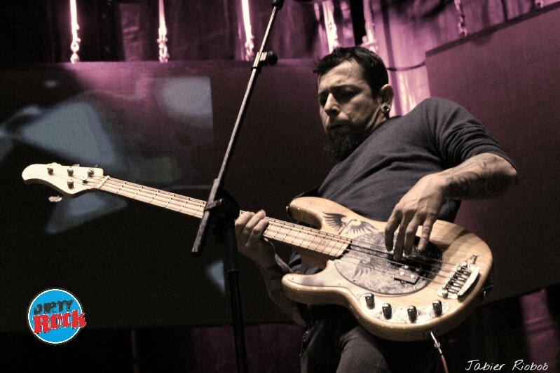 JUDMENT BASS